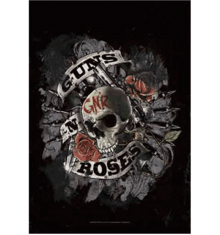 GUNS N ROSES - SKULL