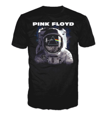 PINK FLOYD - SPACEMAN