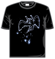 NIGHT SKY