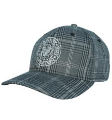RAMONES FLEX CAP